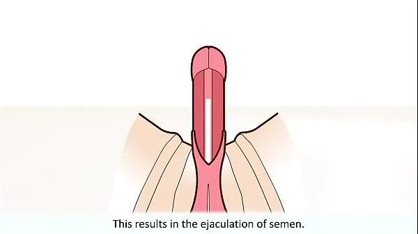 Uusi The male orgasm explained tuore putki